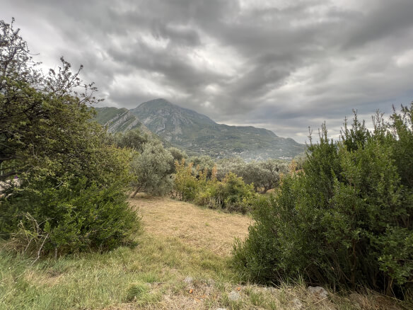 Plot in Stari Bar with olive trees and mountain views – SB2