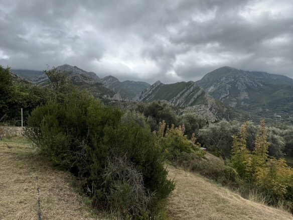 Plot in Stari Bar with olive trees and mountain views – SB2