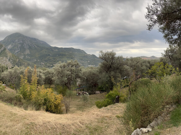 Plot in Stari Bar with olive trees and mountain views – SB2