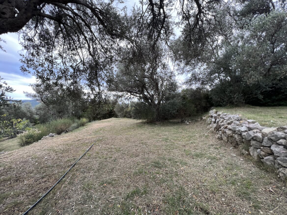 Plot in Stari Bar with olive trees and mountain views – SB2