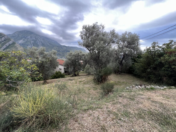 Plot in Stari Bar with olive trees and mountain views – SB2