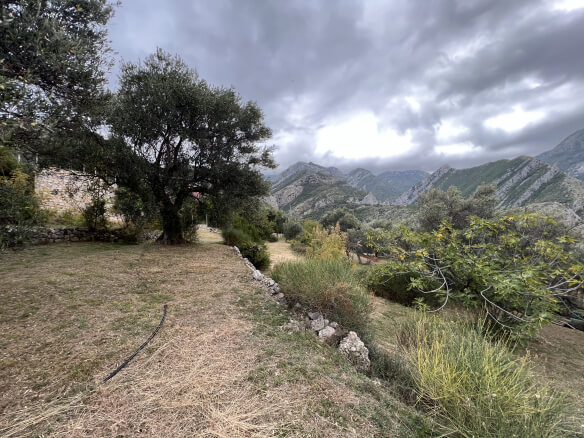 Plot in Stari Bar with olive trees and mountain views – SB2