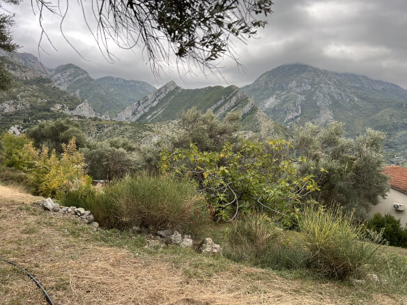 Plot in Stari Bar with olive trees and mountain views – SB2