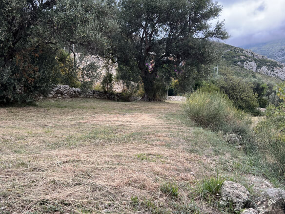 Plot in Stari Bar with olive trees and mountain views – SB2