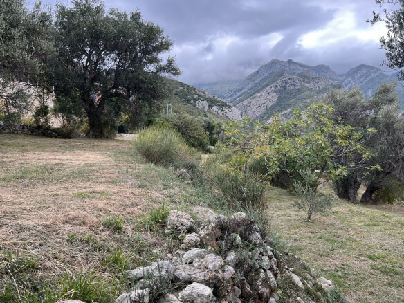 Plot in Stari Bar with olive trees and mountain views – SB2