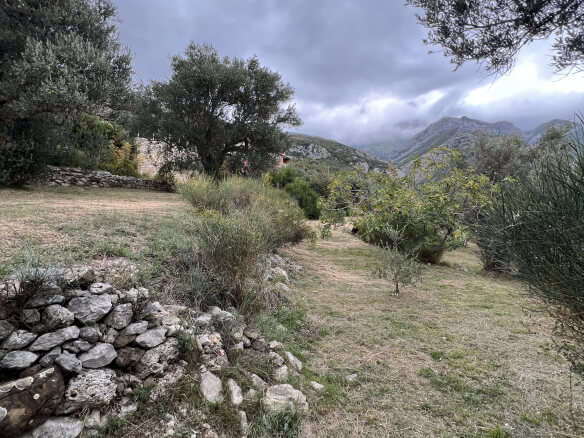 Plot in Stari Bar with olive trees and mountain views – SB2