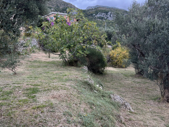 Plot in Stari Bar with olive trees and mountain views – SB2
