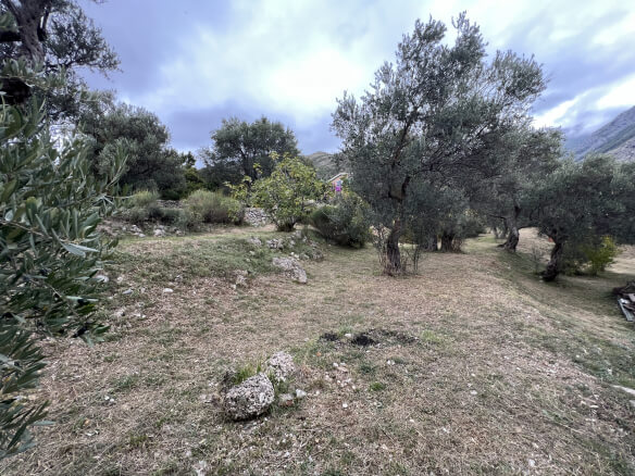 Plot in Stari Bar with olive trees and mountain views – SB2