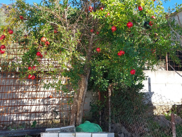 Prodaje se vila u Dubravi – DuHK34