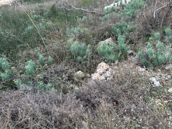 Parcela u Brkanovićima – B29