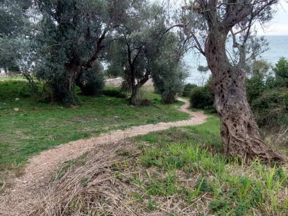 Plac prvi red do mora u Baru – B76