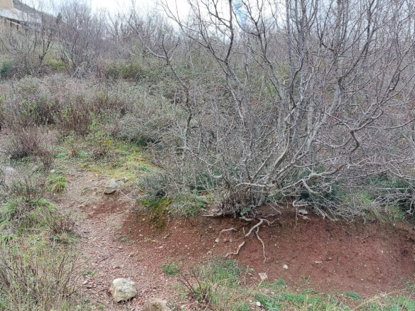 Prodaje se zemljište u Sustašu/Bar – B83
