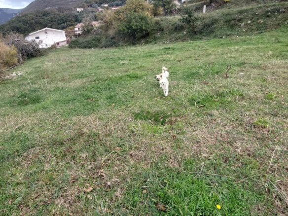 Plot in Sustaš/Bar for sale – B73