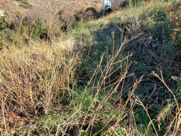 Zwei Grundstücke in Dubrava zum Kauf – Du14