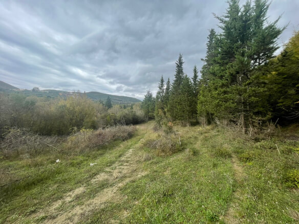Plot in Bratica/ Ulcinj for sale – UL01