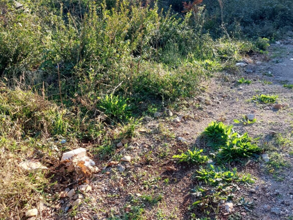 Zwei Grundstücke in Dubrava zum Kauf – Du14