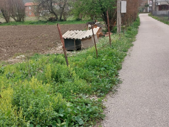 Участок в Поле/Баре на продажу – B84