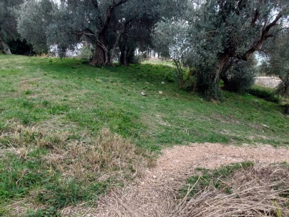 Plac prvi red do mora u Baru – B76