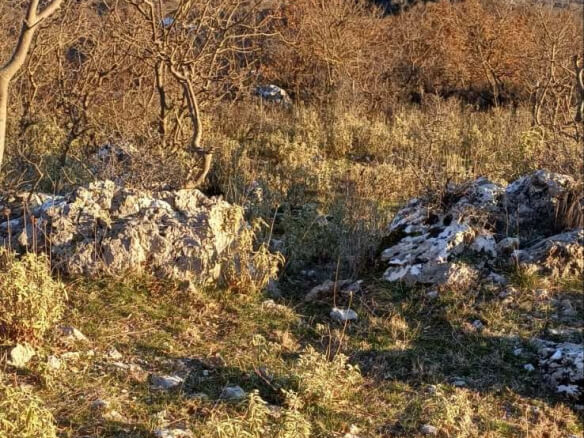 Grundstück in Dapčevići – Da11
