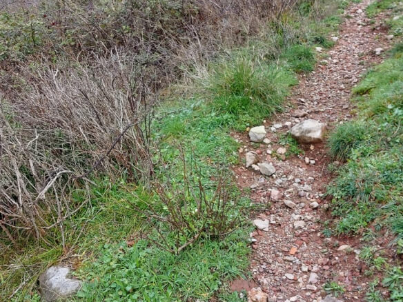 Prodaje se zemljište u Sustašu/Bar – B83
