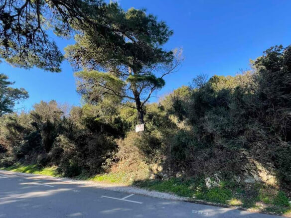 Grundstück in Ulcinj am Strand zum Kauf – Ul03