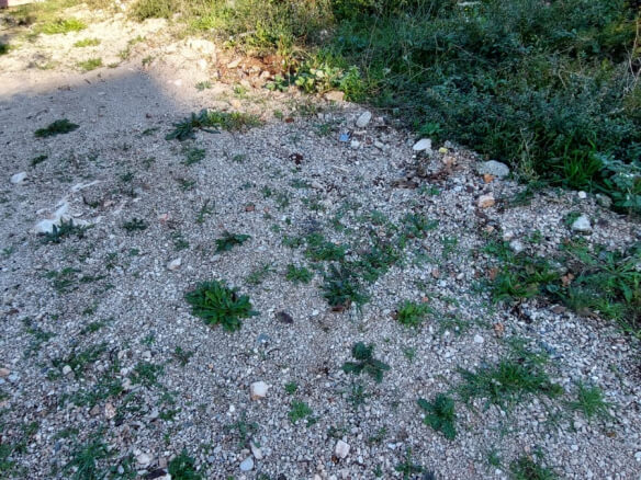 Zwei Grundstücke in Dubrava zum Kauf – Du14