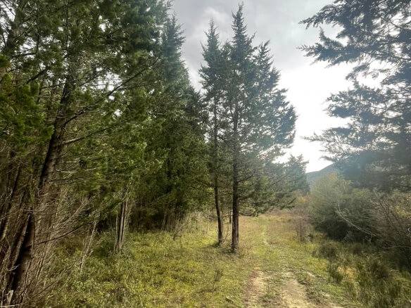 Plot in Bratica/ Ulcinj for sale – UL01