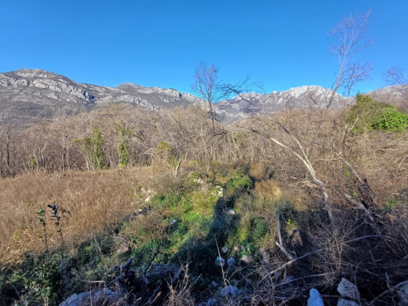 Prodaje se zemljište u Zupcima – Zu10