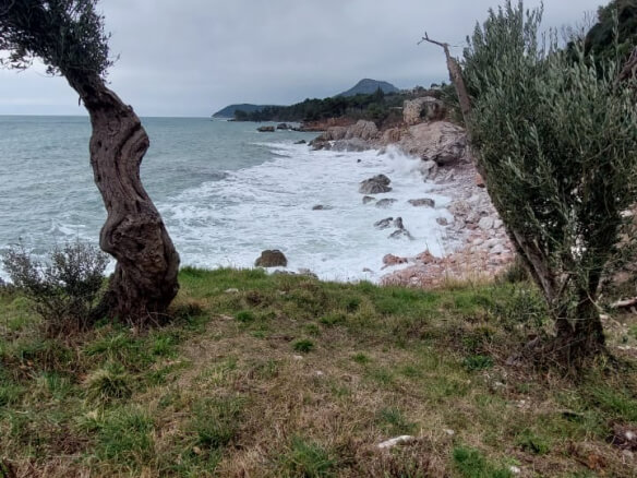 Plac prvi red do mora u Baru – B76