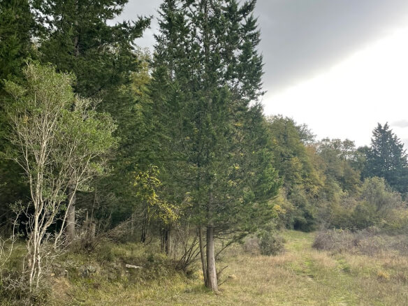 Plot in Bratica/ Ulcinj for sale – UL01