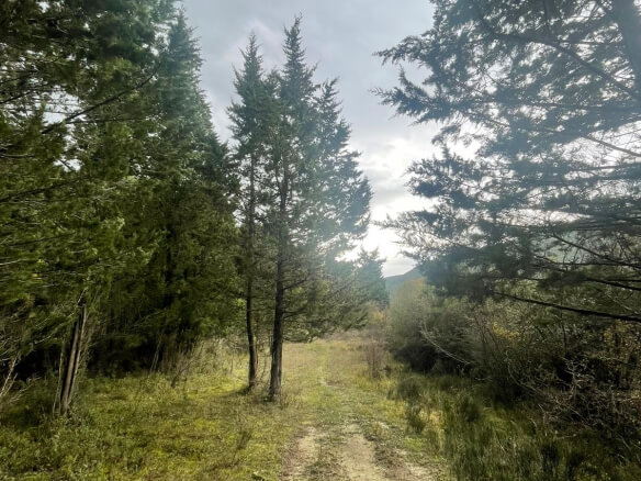 Plot in Bratica/ Ulcinj for sale – UL01