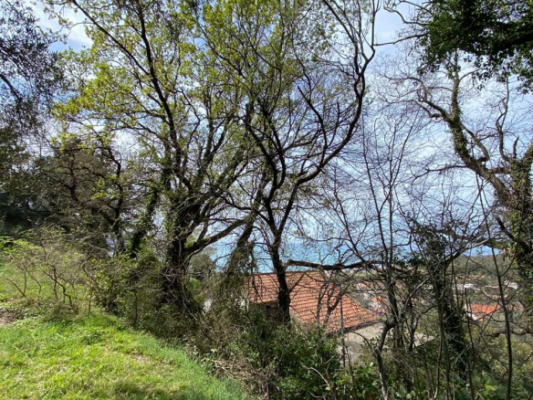 Grundstück in Šušanj/ Bar zum Kauf – B85