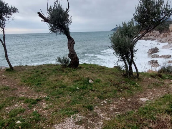 Plac prvi red do mora u Baru – B76