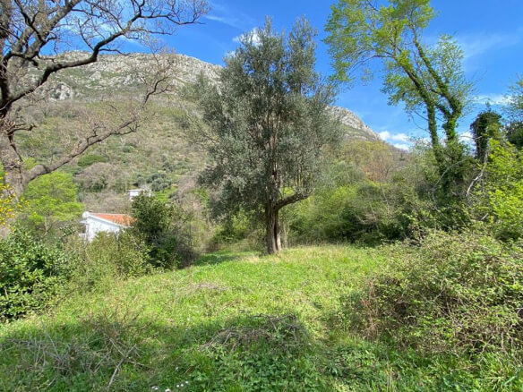 Grundstück in Šušanj/ Bar zum Kauf – B85