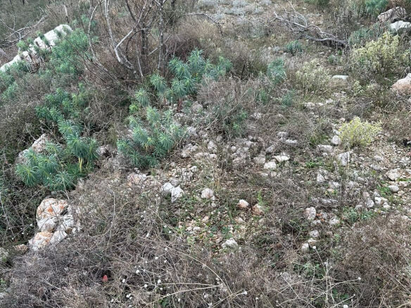 Parcela u Brkanovićima – B29