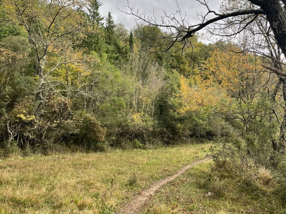 Plot in Bratica/ Ulcinj for sale – UL01