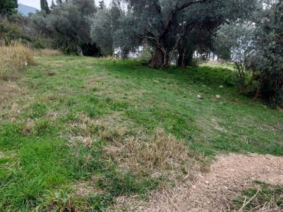 Plac prvi red do mora u Baru – B76