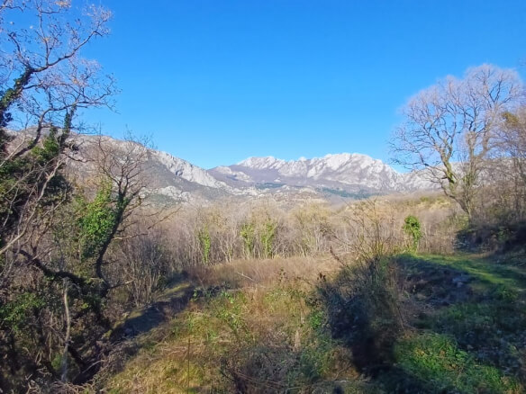 Prodaje se zemljište u Zupcima – Zu10