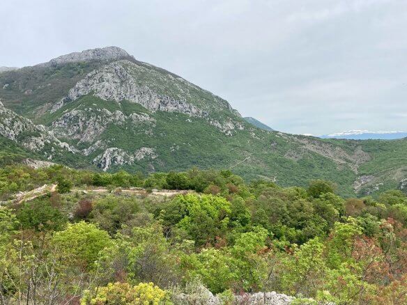 Prodaje se zemljište u Dapčevićima – Da02