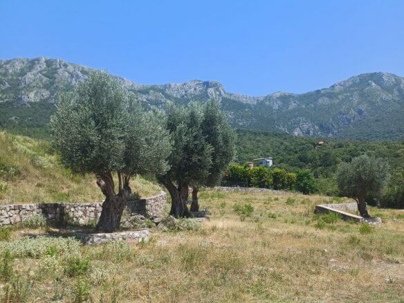 Plot in Zupci/Bar for sale – Zu11