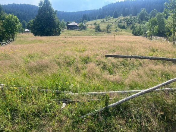 Grundstück in Rožaje zum Kauf – Ro01