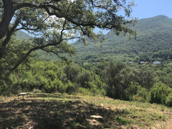 Prodaje se zemljište u Zupcima – Zu12