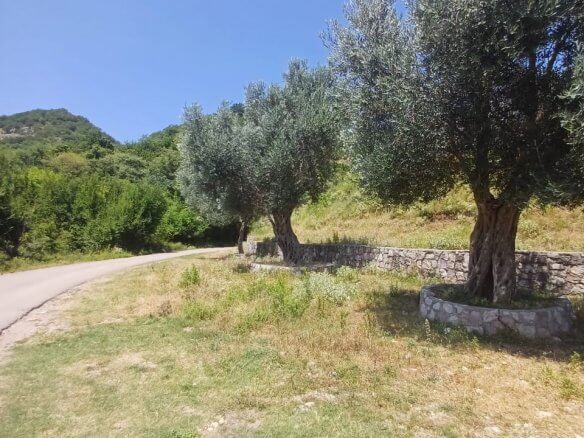 Plot in Zupci/Bar for sale – Zu11