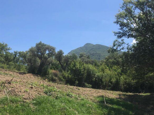 Prodaje se zemljište u Zupcima – Zu12