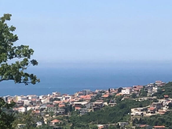 Prodaje se zemljište u Zupcima – Zu12