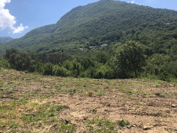 Prodaje se zemljište u Zupcima – Zu12