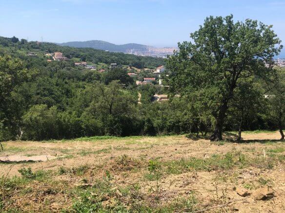 Prodaje se zemljište u Zupcima – Zu12