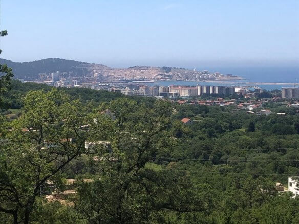 Prodaje se zemljište u Zupcima – Zu12