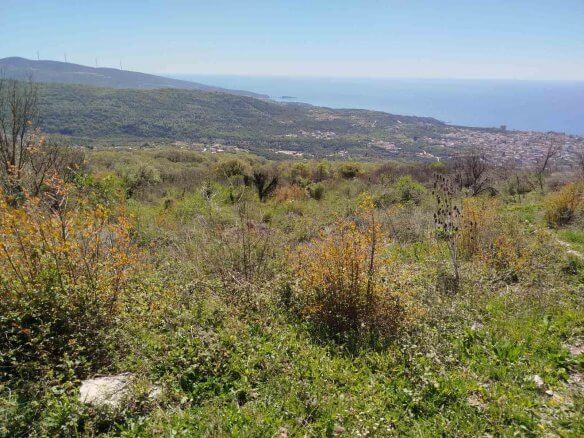 Plot of land in Brkanovići – B31
