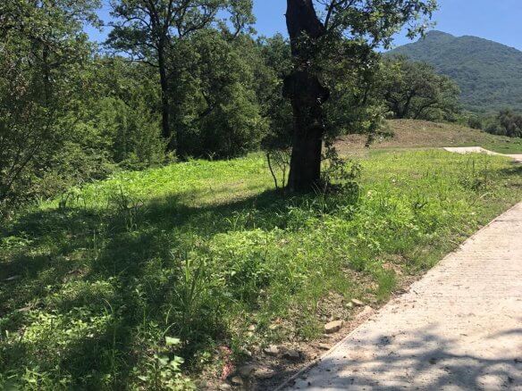 Prodaje se zemljište u Zupcima – Zu12